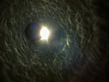 eclipse inside a lamp